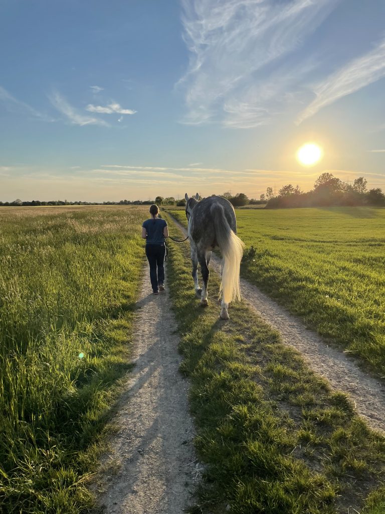 Nathalie und Simon bei Sonnenuntergang