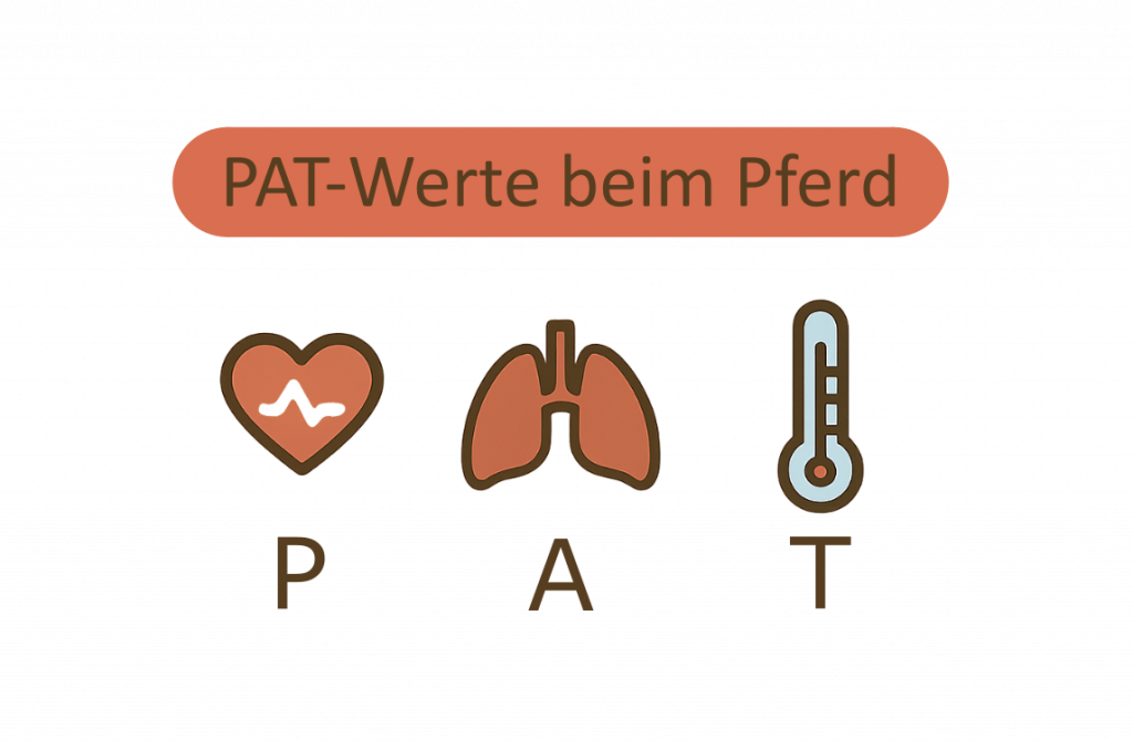PAT-Werte beim Pferd