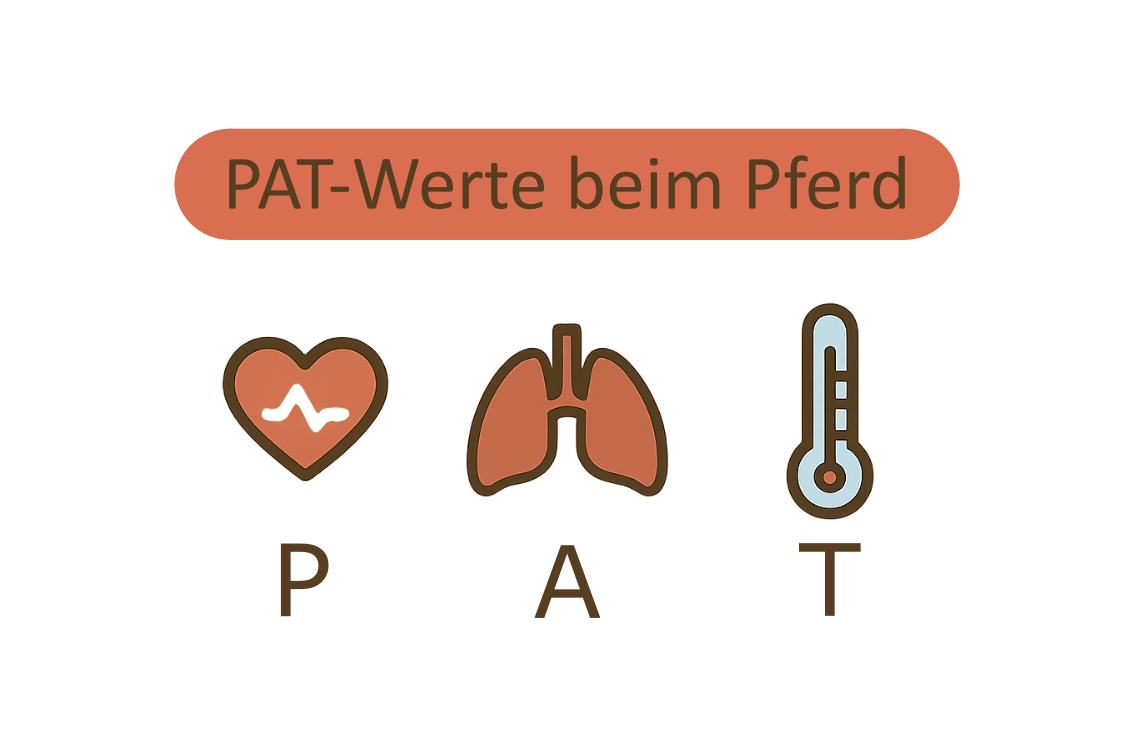 PAT-Werte beim Pferd