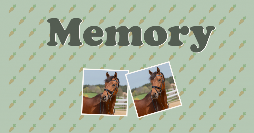 Pferde-Memory - online, kostenlos und für klein und groß