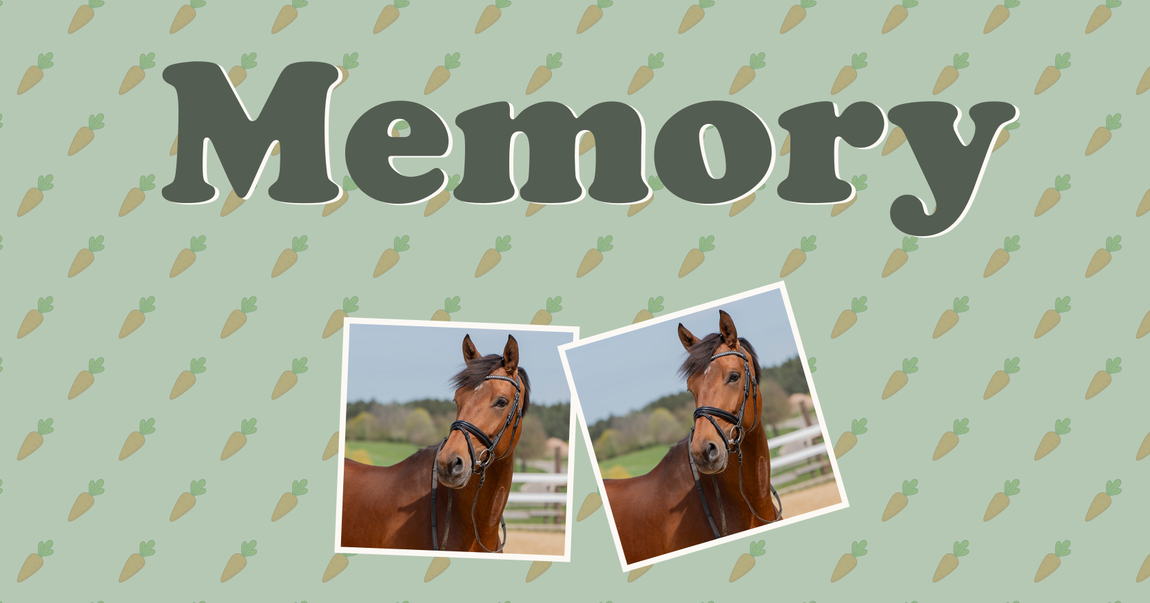 Pferde-Memory - online, kostenlos und für klein und groß