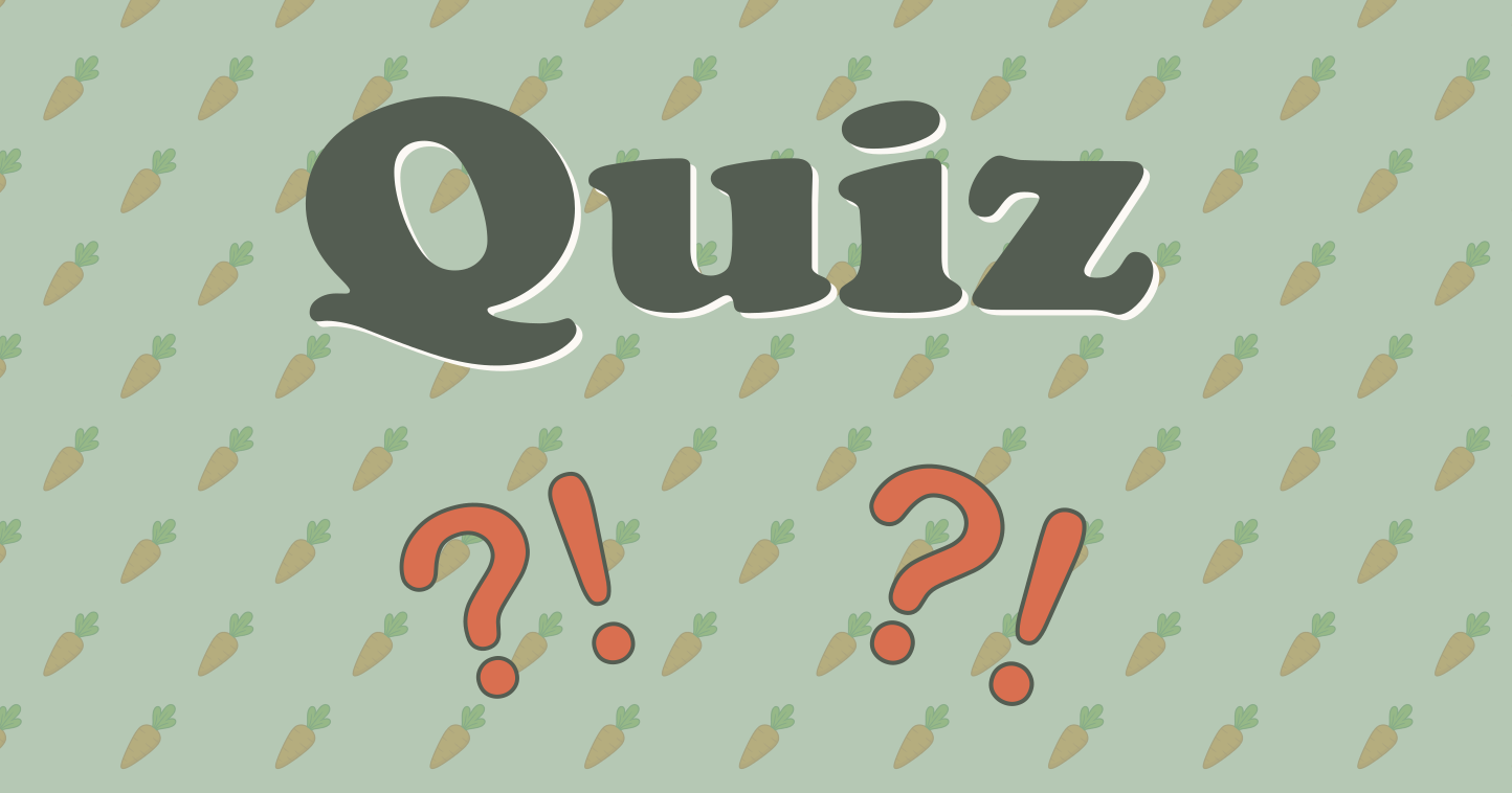 Pferde-Quiz - online, kostenlos und für klein und groß